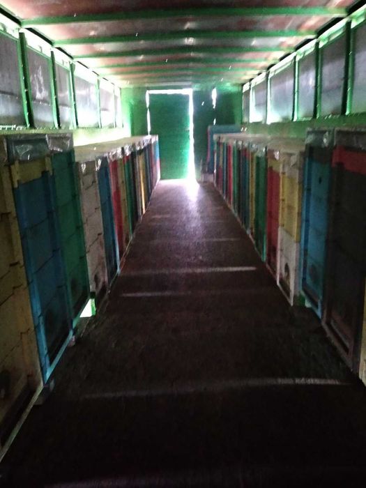 Бджолопавільйон,причіп для бджіл