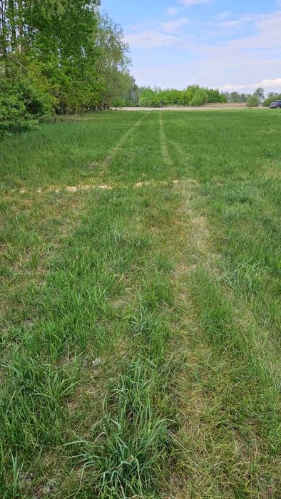Działka rolna 5,4ha z możliwością zabudowy zagrodowej - Widok 5