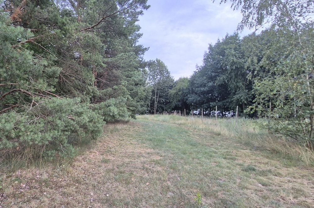 Działka z linią brzegową jeziora - WYNAJEM
