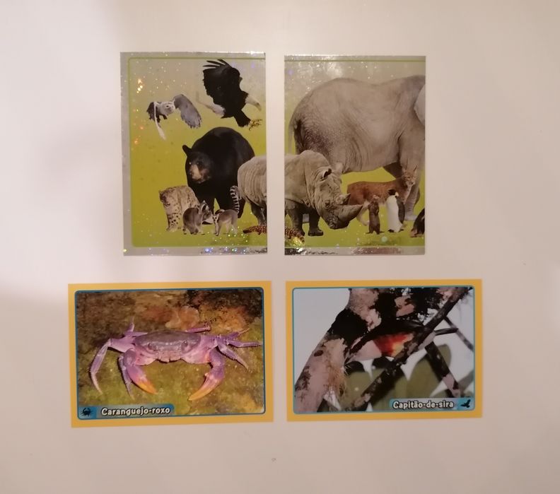 Conjunto de 4 cromos Animais, uma edição 2014 da Panini