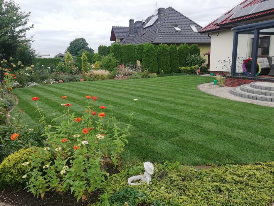 Zakładanie i pielęgnacja trawników