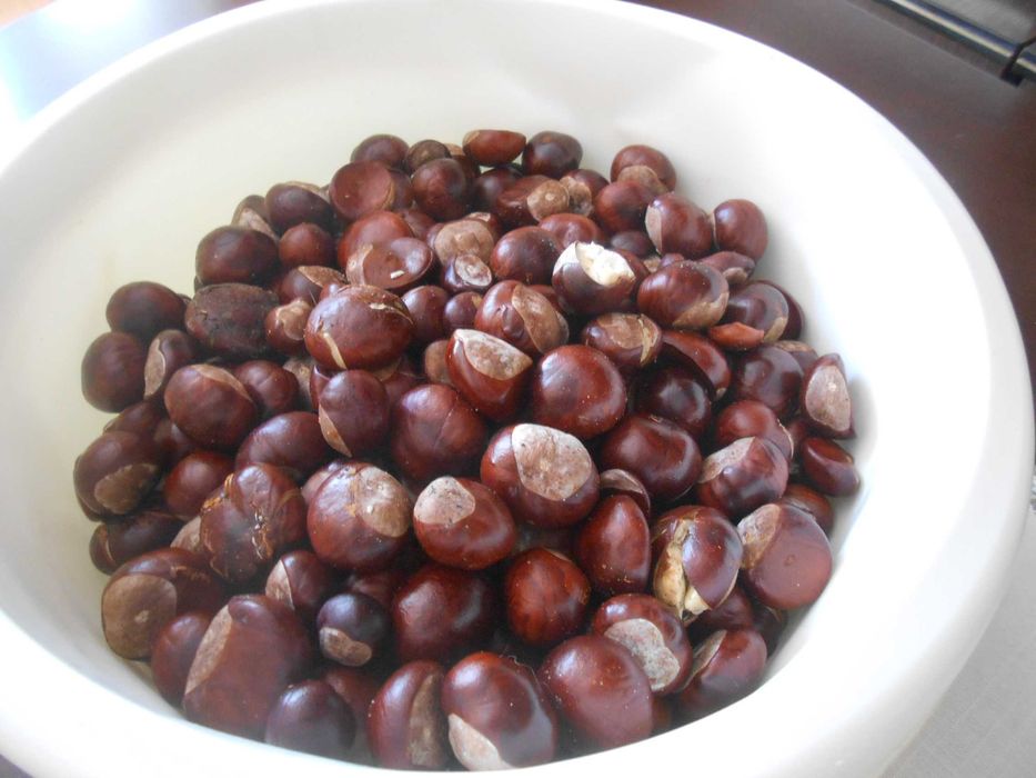 Kasztany (5-6kg)Całość