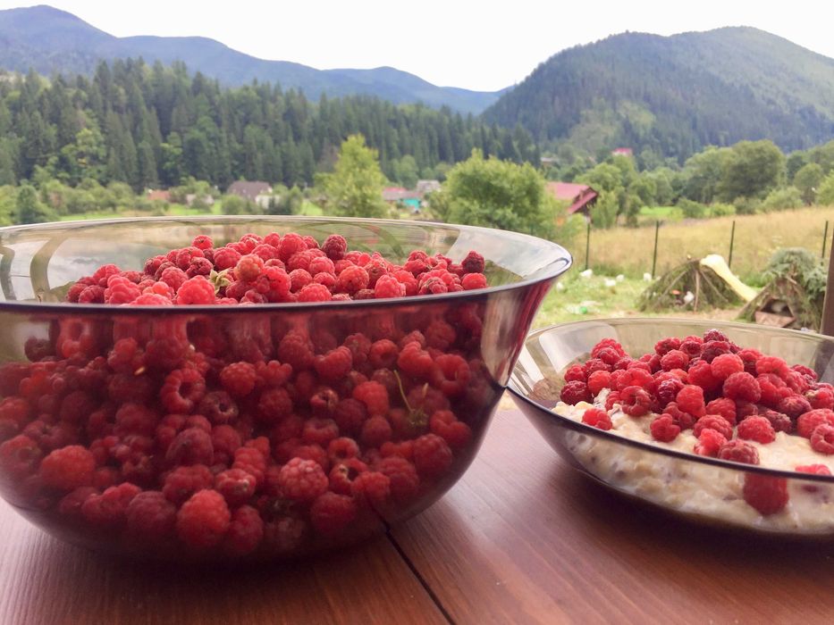 Здаю котедж, вул. Миру 42, на горі під лісом