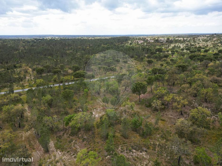 Terreno  para venda
