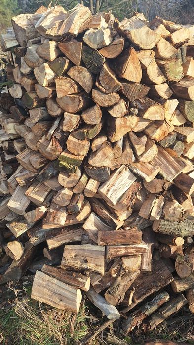 Drzewo dębowe, dąb, pocięty, suchy,sezonowane 4 lata,gotowy do palenia