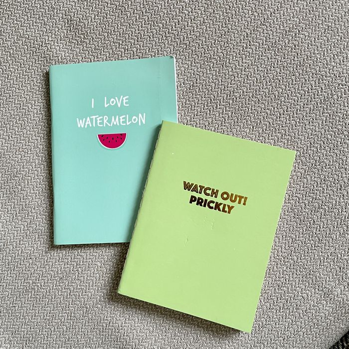 Dois cadernos tamanho A6