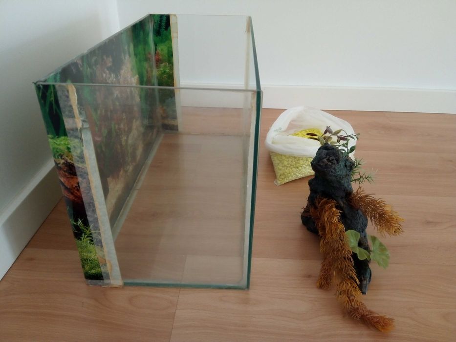 Aquário Usado com acessórios