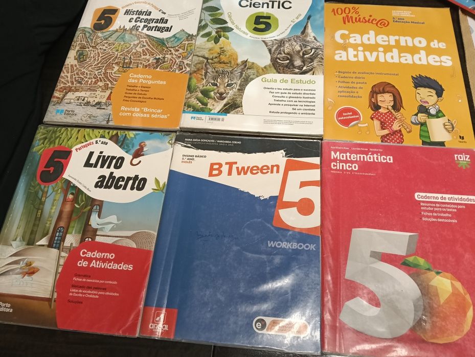 Manuais e livros de atividades 5°Ano