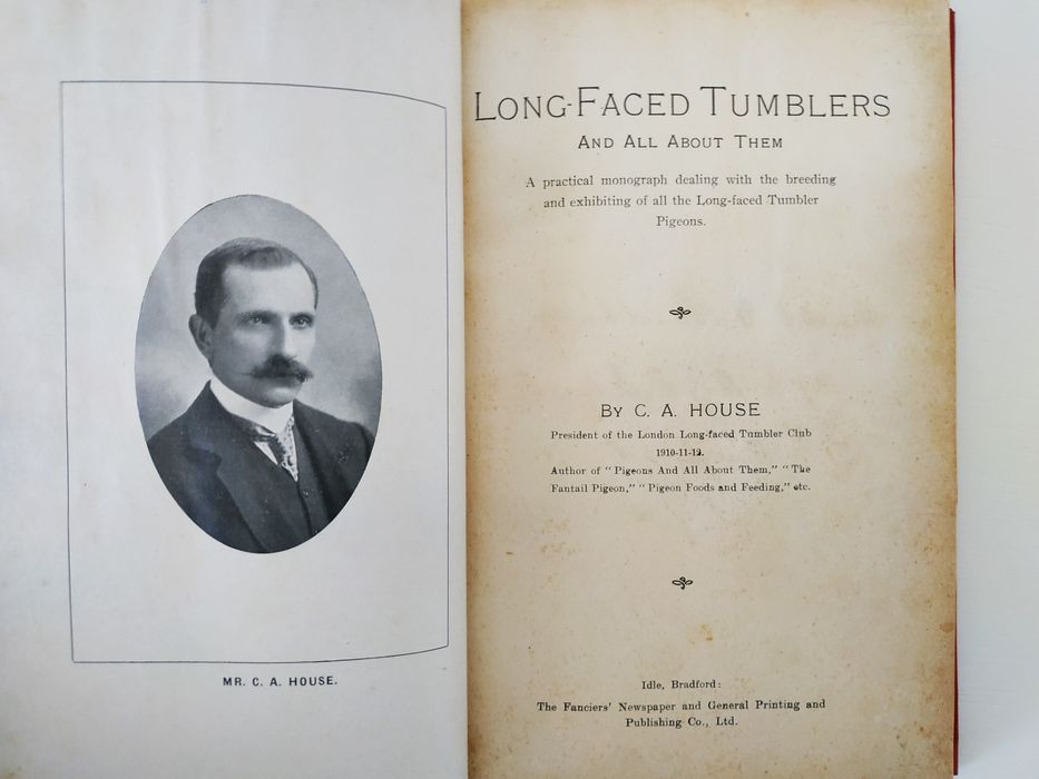 Long Faced Tumblers And all About them, C. A. House 1911 pombos