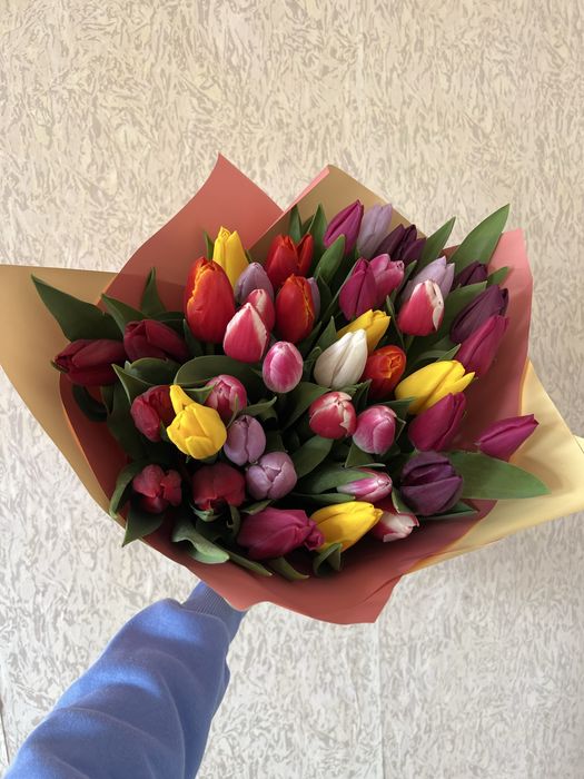 Тюльпан Український гурт роздріб