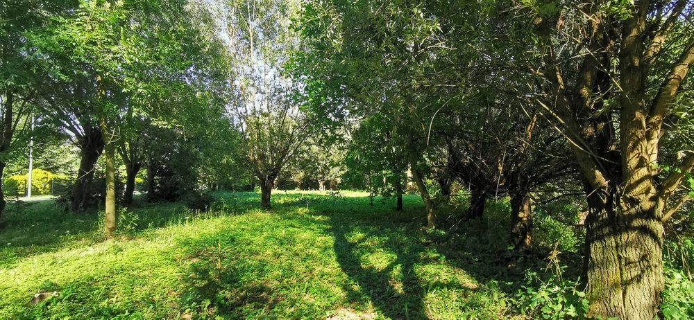 Działka 38 arów – Damienice, gmina Bochnia | Spokojna okolica | Duży potencjał - Widok 2