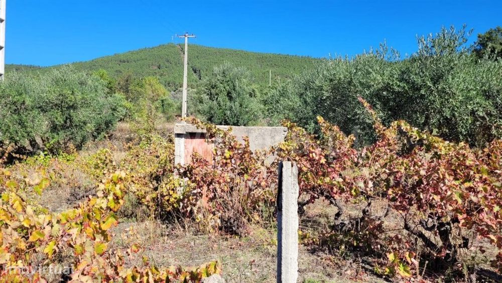 Terreno / Fundão, Cortiçada — Vale De Prazeres E Mata Da Rainha, Castelo Branco