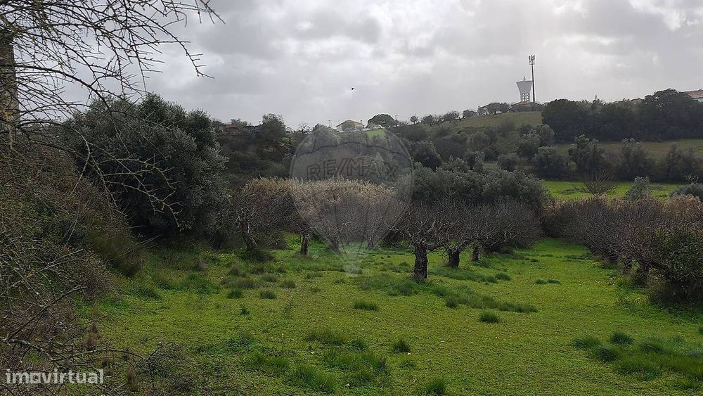 Terreno  para venda