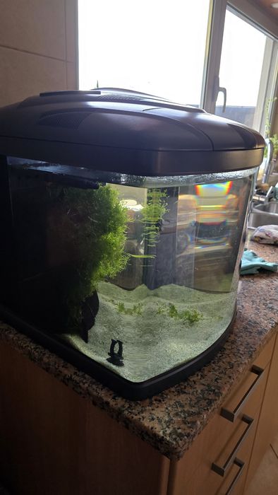 Aquário Será Biotop mano Cube 60lt
