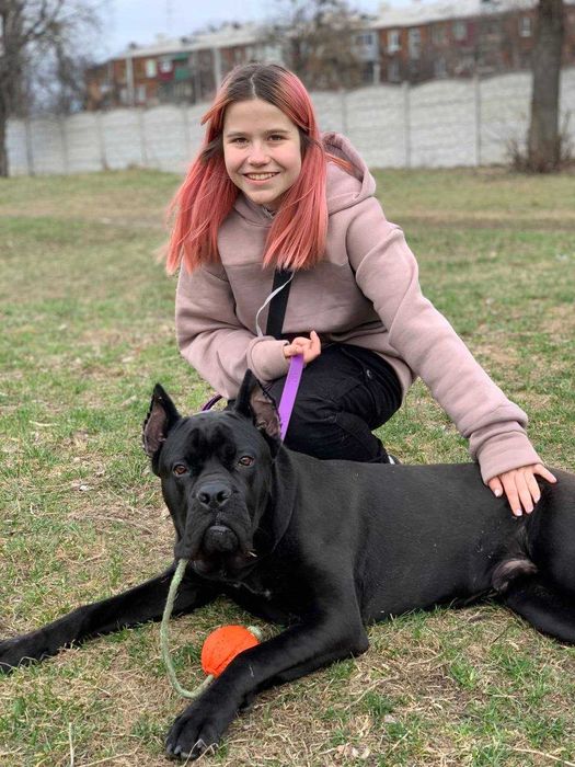 Кінолог, зоопсихолог, дресирування собак, вигул, перетримка