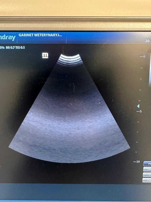 Sonda Mindray Micro convex jak Nowa