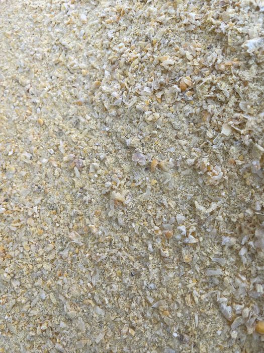 Kukurydza mielona , CCM, mielone ziarno kukurydzy