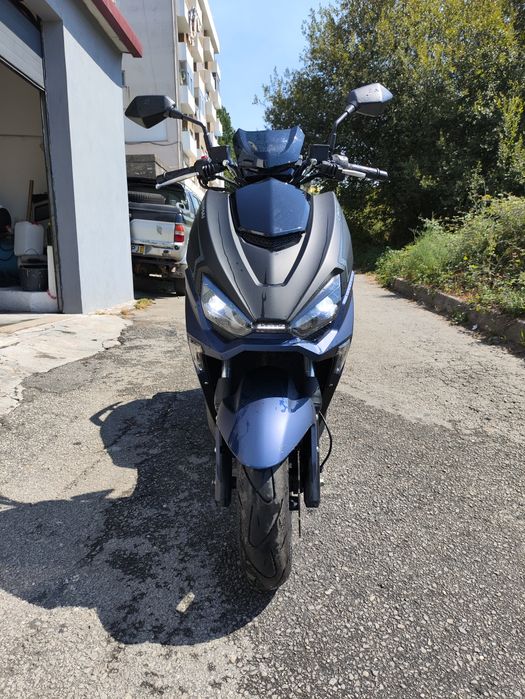 Mota Linhai Buck 2023