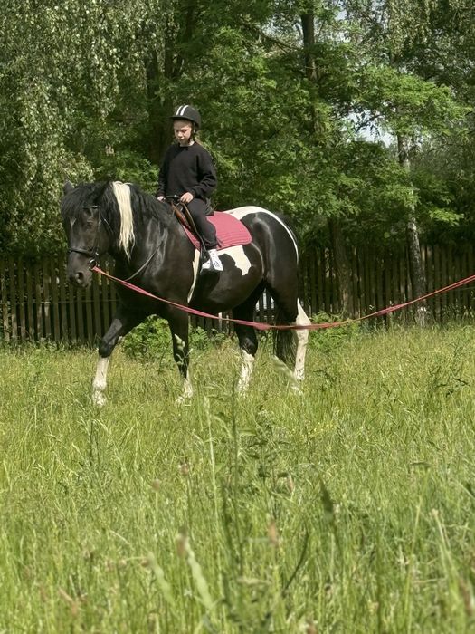 PILNIE SPRZEDAM Sprzedam matka z corka wielkopolska , kara , srokata