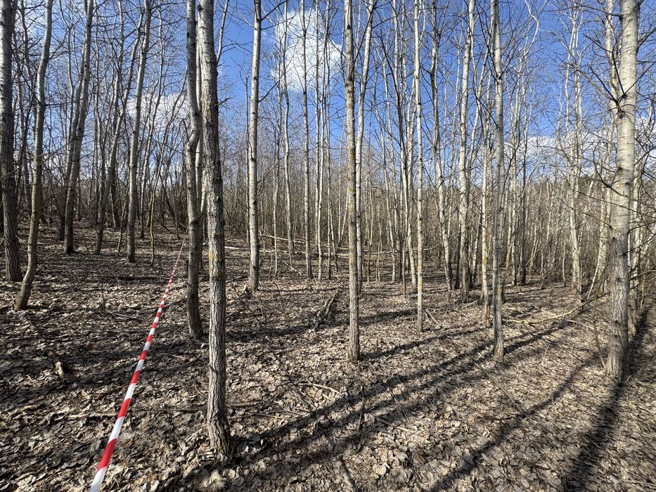 Стоянка. Три ділянки по 10 соток. Можна обʼєднати.