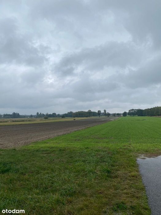 Kłocko Sieradz 1,2ha rola ziemia grunt rolny KRUS