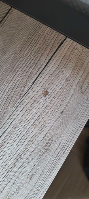 Biurko BRW Executive 160cm x 70cm x 76,5cm