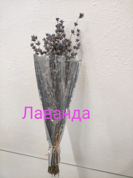 Трави для сауни, лазні, чану