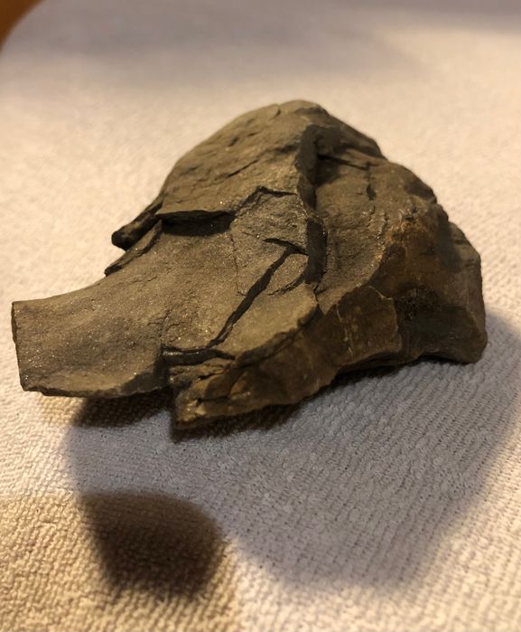 Deep Alpine Bronze