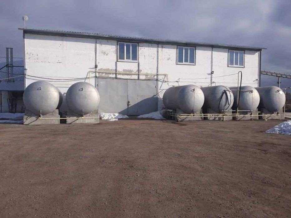 Бізнес з виробництва соняшникової олії в Україні. Олійниця. Завод