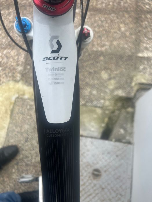 Scott Genius  - carbono -