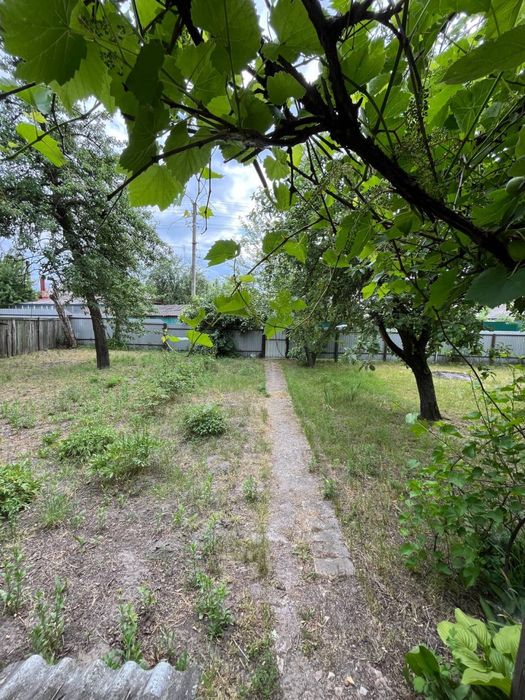 Продаємо затишний та комфортний будинок у зеленому с. Лозівок