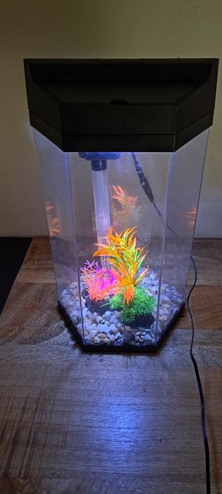 Aquário para peixes