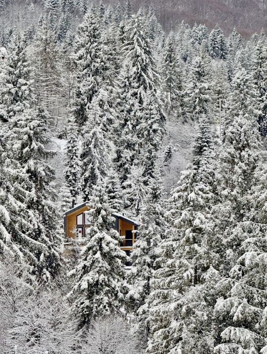 KUT HOUSE - стильний будиночок серед гір та лісу - Карпати  Подобовець