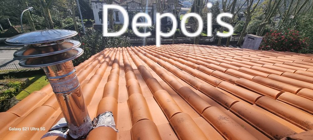 Lavagem, tratamento, rectificação, manutenção e pintura de telhados.