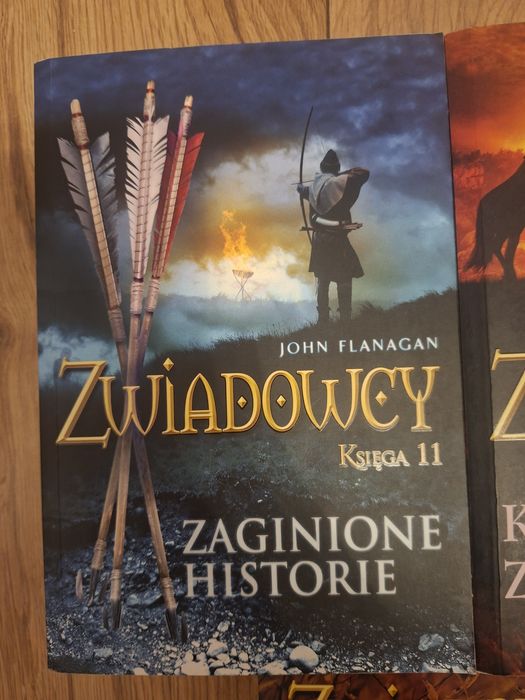 Seria książek zwiadowcy