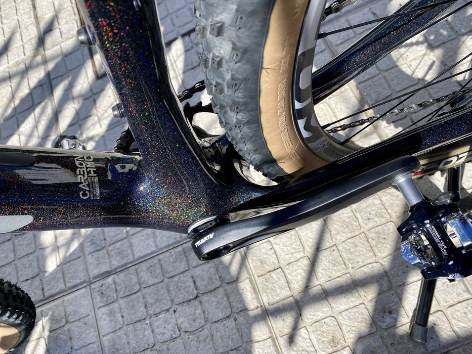 Coluer Poison SL 29”