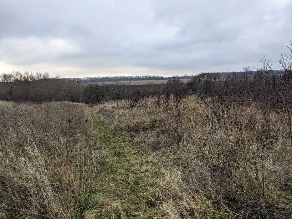 Продається ділянка 15 сот під будівництво в с. Павлівка (8)