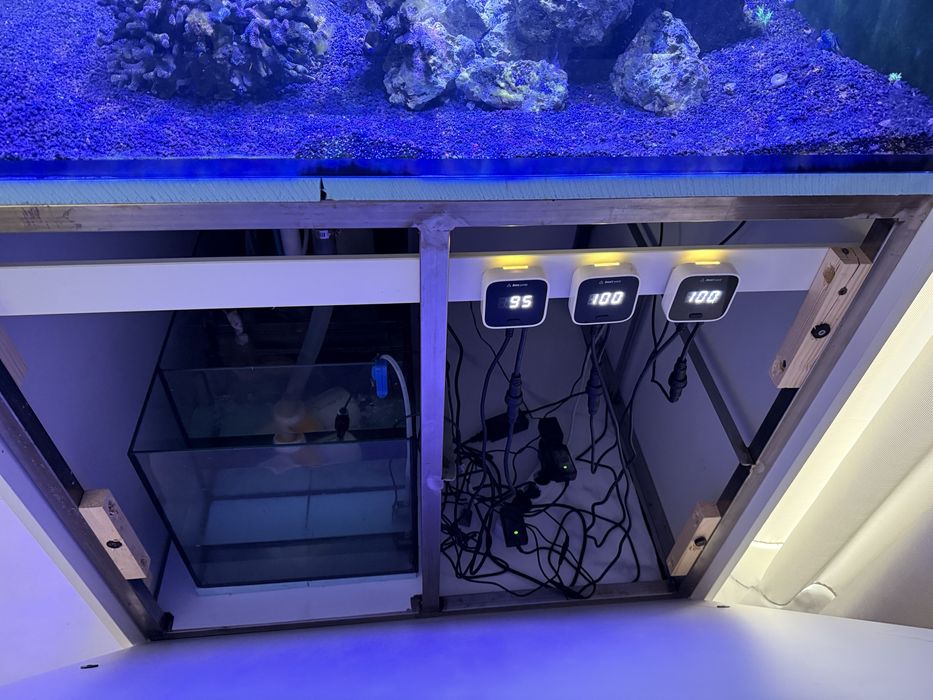 Aquario Agua Salgada Reef