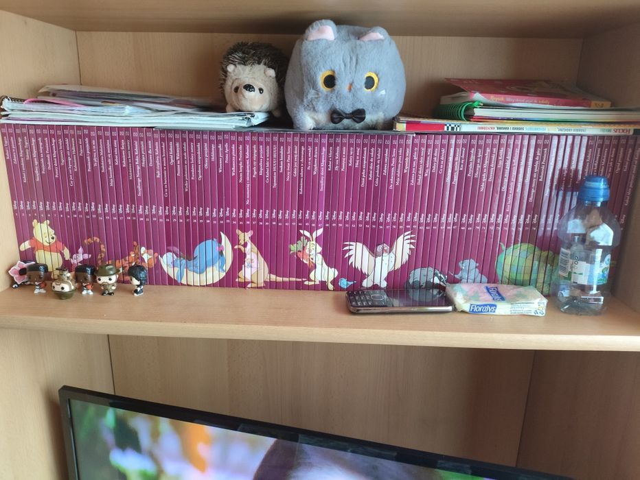 Kubuś Puchatek i przyjaciele Disney