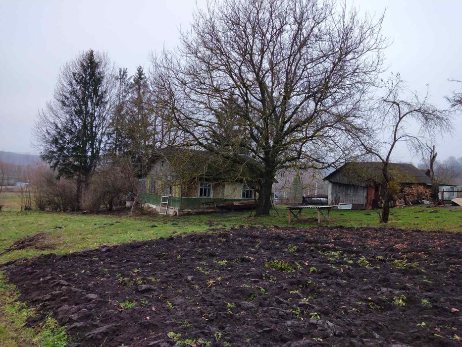 Продаж будинку і земельних ділянок