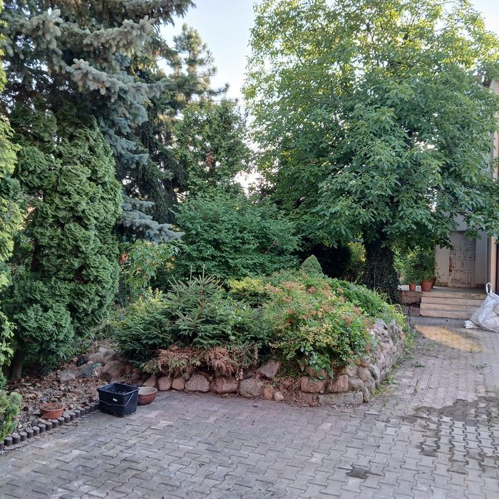 Przestronny dom z fotowoltaika, dużym budynkiem 160m2 pod inwestycje