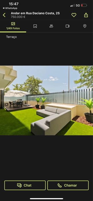 Fejka Plantas Palmeiras