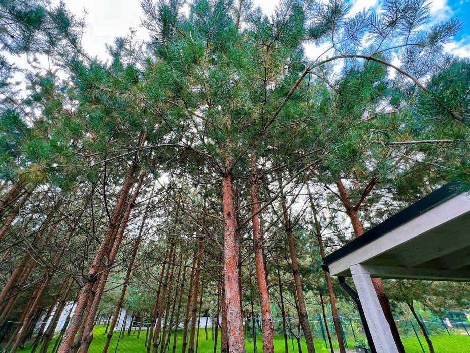 ТОП-продаж. КМ Сhaletvillе. Дім в оточені лісу. єОселя. Без%