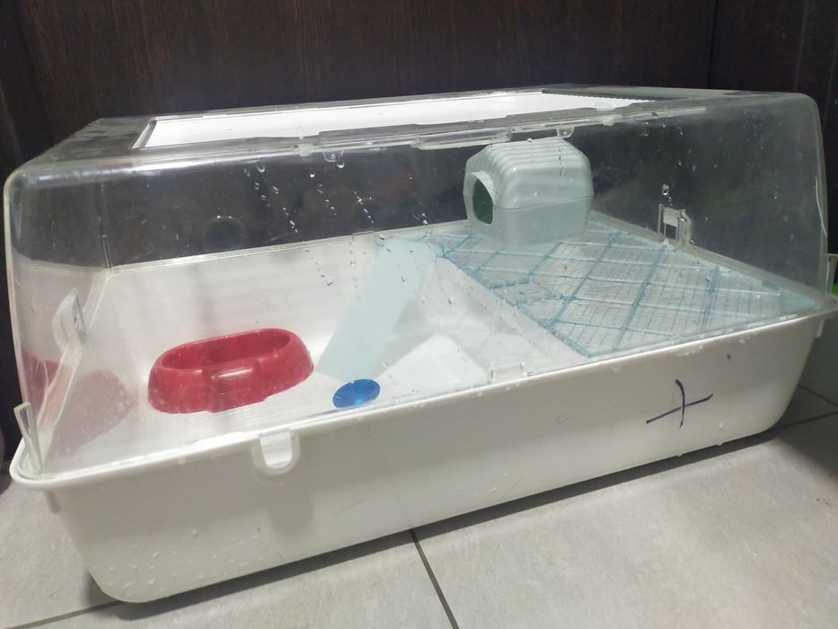 klatka dla małych gryzoni 55×35×27