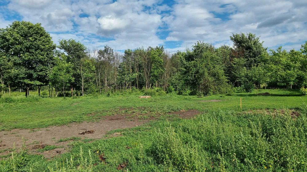 Działka budowlana 3040 m2,Kraków ,Nowa Huta,ul.Samostrzelnika