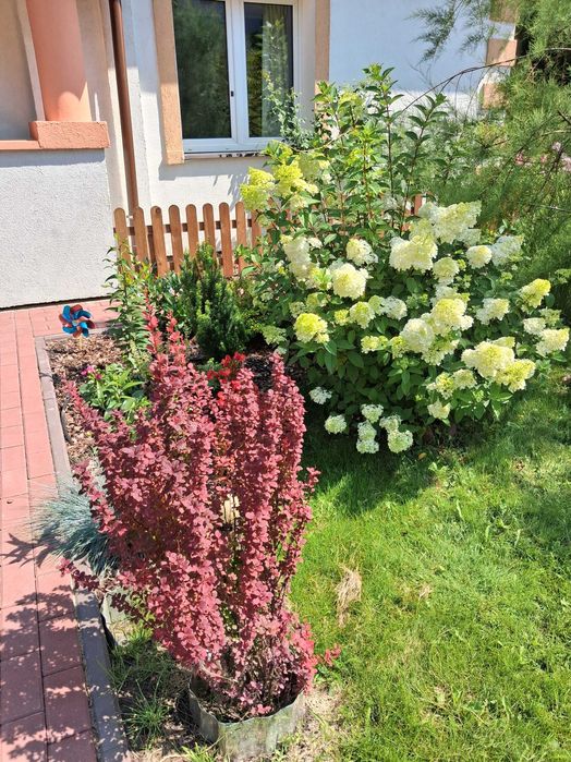 Zdjęcie 8
