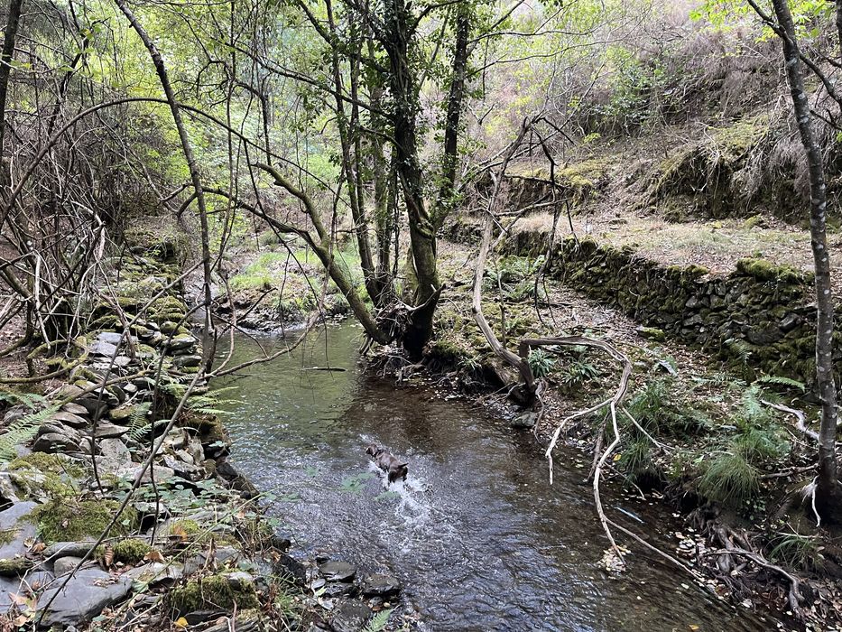 Quinta com 5hec - Serra da Lousã