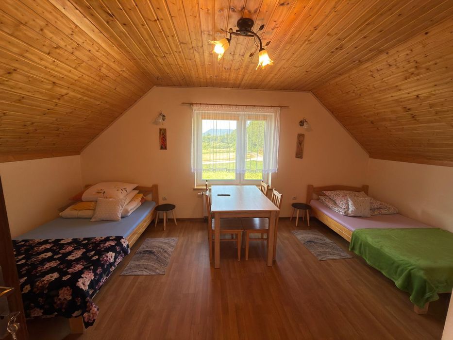 Domki i pokoje do wynajęcia Terka