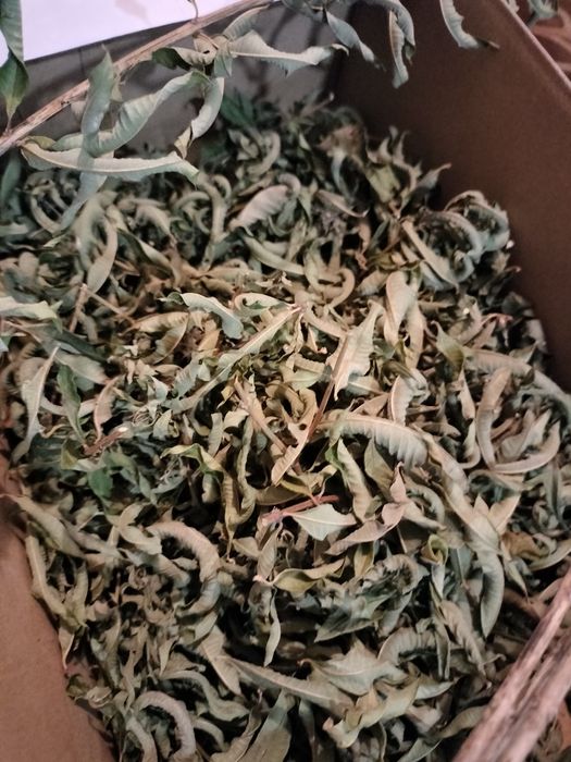 Folhas secas de aromáticas Bio
