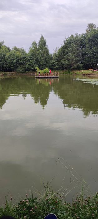 Wynajmę domek dla 4-5 osób na leśej polanie